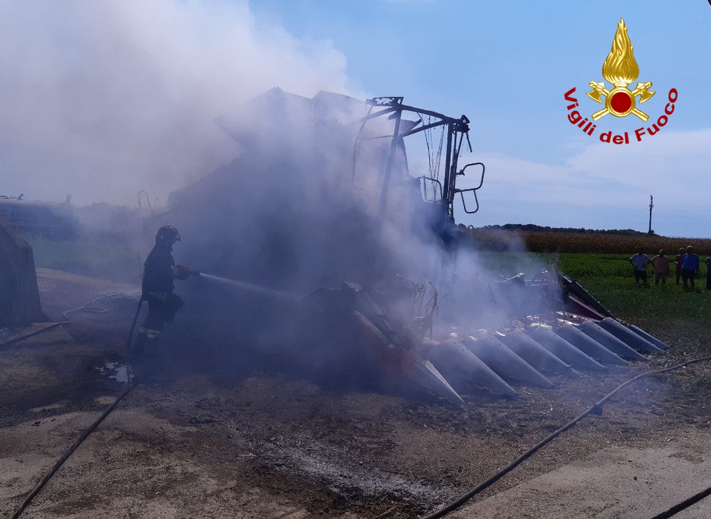 Immagine per Grossa colonna di fumo sulla pianura isontina, incendio a Marano